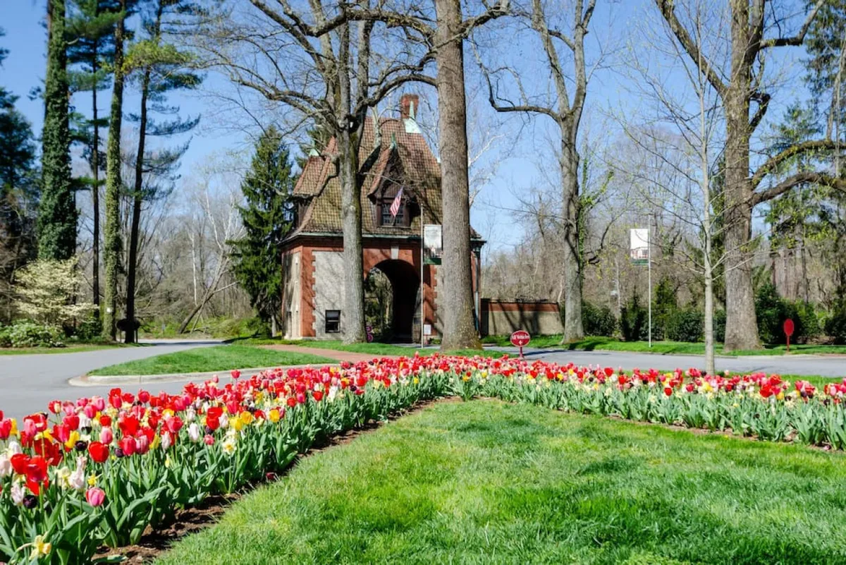 A colorful tulip garden unfolds before an arched gateway and surrounding trees, creating a welcoming and cheerful outdoor space. The area suggests the presence of gardens, seasonal festivities, and gentle walks in a picturesque setting.
